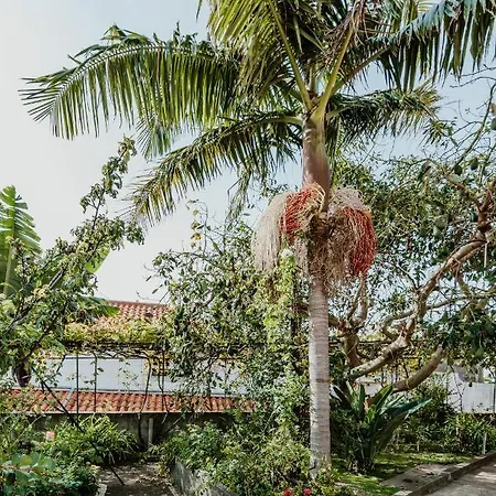 View Gardens I * Funchal (Madeira)
