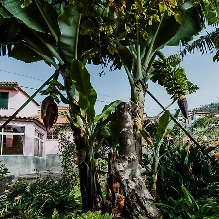 View Gardens I Funchal (Madeira)
