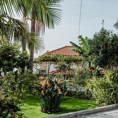 Lägenhet View Gardens I Funchal (Madeira)