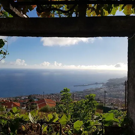 Lägenhet View Gardens I Funchal (Madeira)