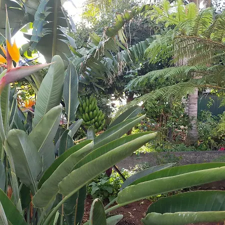 Apartment View Gardens I *