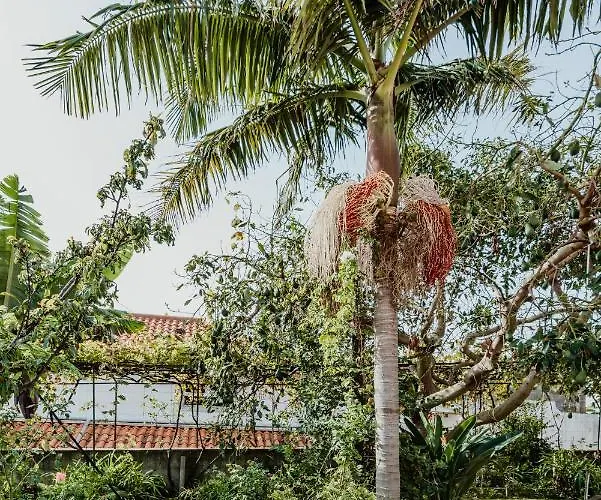 View Gardens I * Funchal (Madeira)
