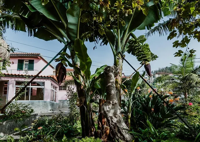 View Gardens I Funchal (Madeira)