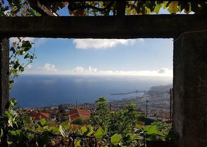 Apartmán View Gardens I Funchal (Madeira)