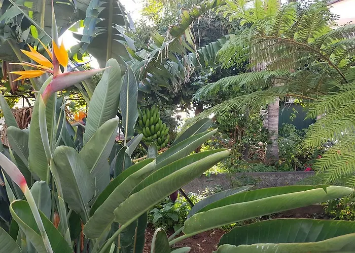 Apartmán View Gardens I *