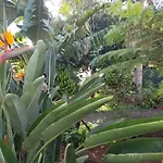 Apartamento View Gardens I *